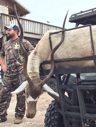 addax.jpg